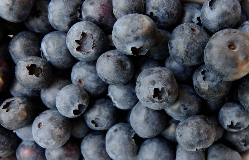 Kale and Blueberry Smoothie