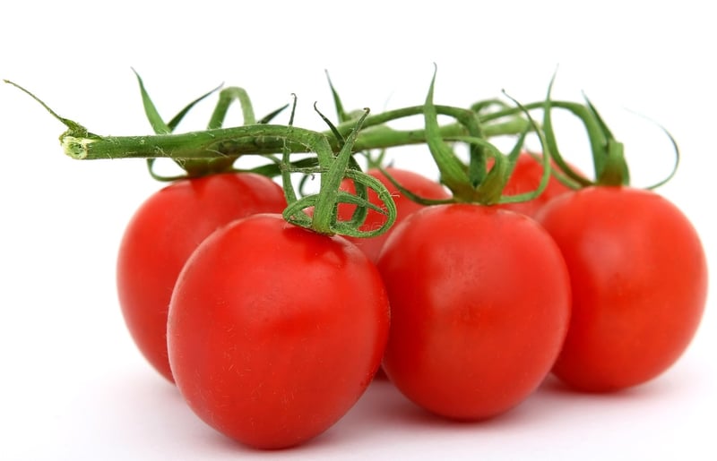 Homemade Stocks