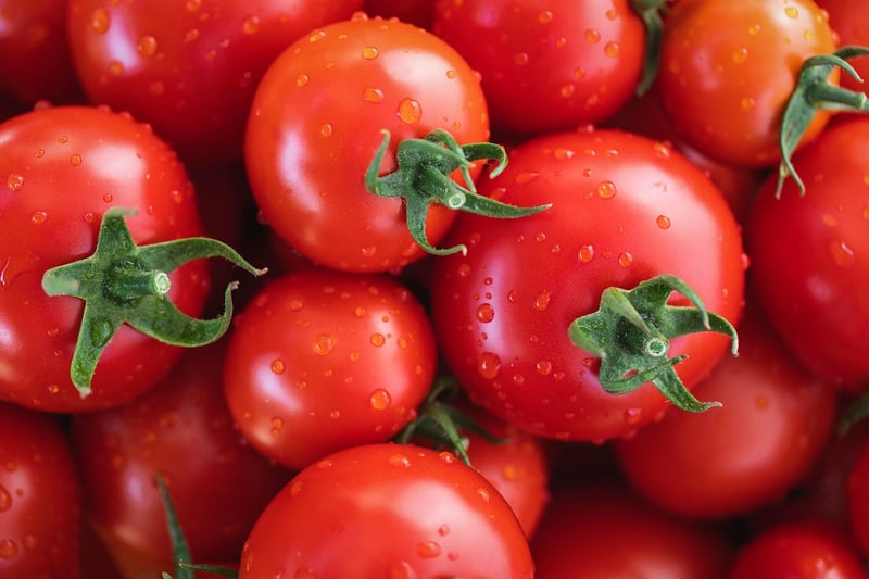 La Tomatina Food Festival
